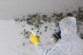 Best Air Quality Testing for Mold Spores  in Lincolnwood, IL